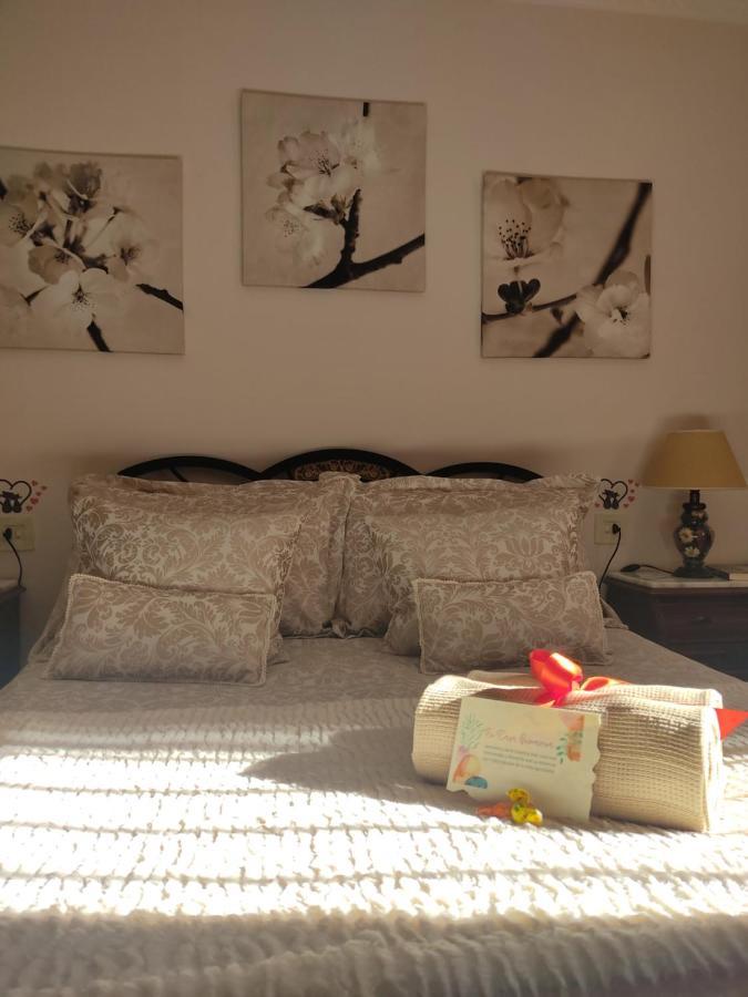 Setenil De Las BodegasCasa Primavera公寓 外观 照片